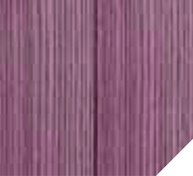 alternatyvusis tekstas